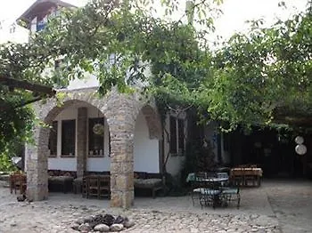 Koyevi