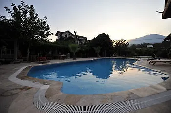 Koyevi אולימפוס